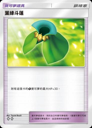 葉綠斗蓬