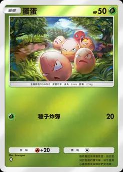 蛋蛋