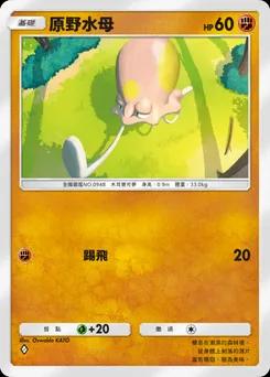 原野水母