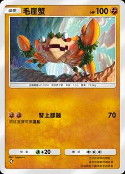 毛崖蟹