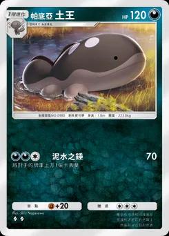 帕底亞 土王