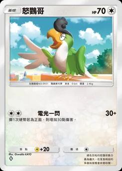 怒鸚哥