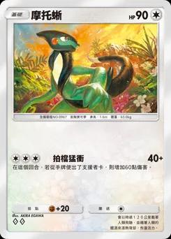 摩托蜥