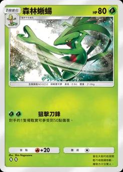 森林蜥蜴