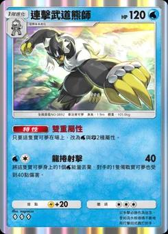 連擊武道熊師