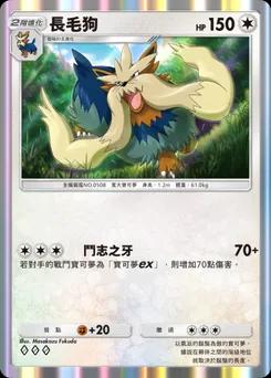 長毛狗