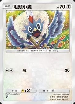 毛頭小鷹