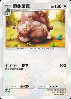 藏飽栗鼠